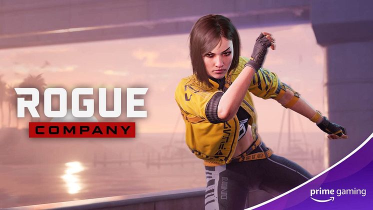 PG_RogueCompany_Jan21.jpg