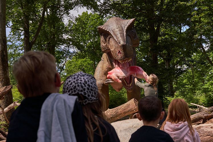 Matning av T-rex