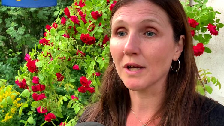 Anna Åkerfeldt på Språkprojektets årliga seminarium i Almedalen 2019