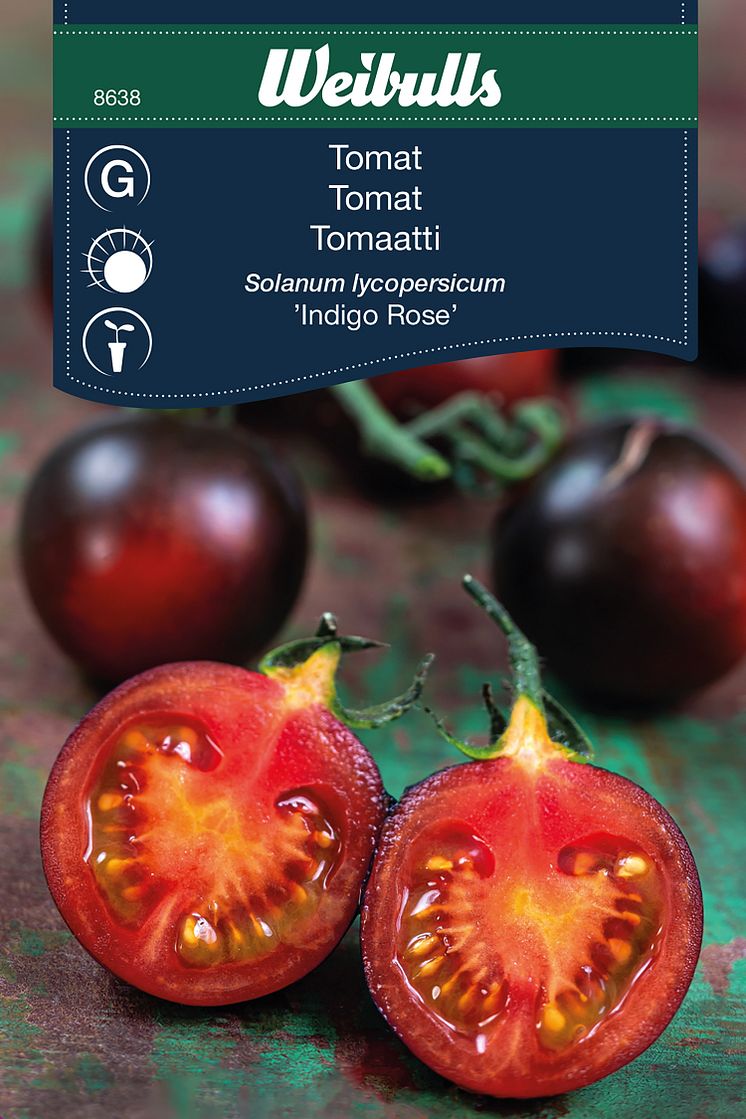 8638_tomat_indigo_rose.jpg