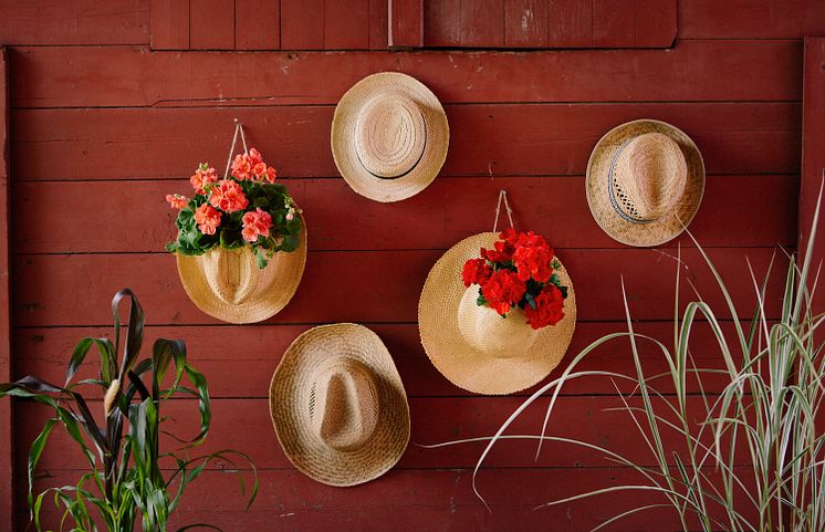 2022_pelargon_DIY_hatt_lantlig_idyll_boho