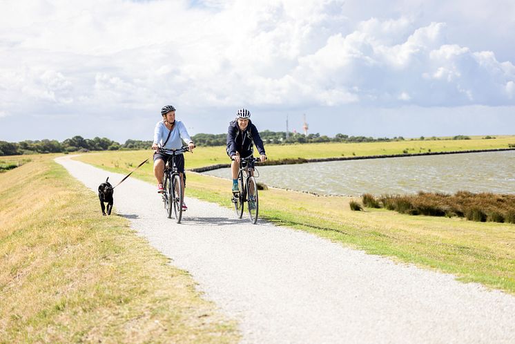 Radfahren auf dem Deich