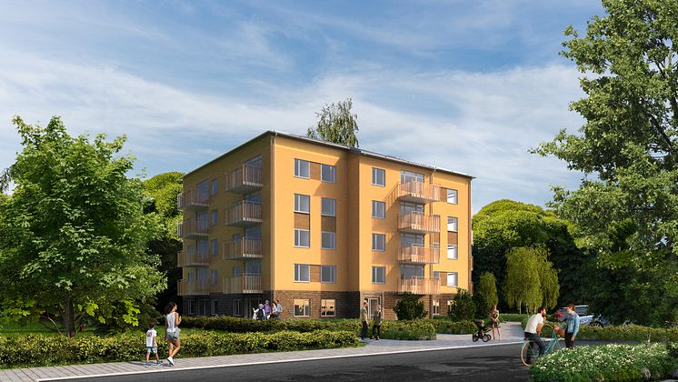 kombohus-bo-punkt-jsb-5van-press