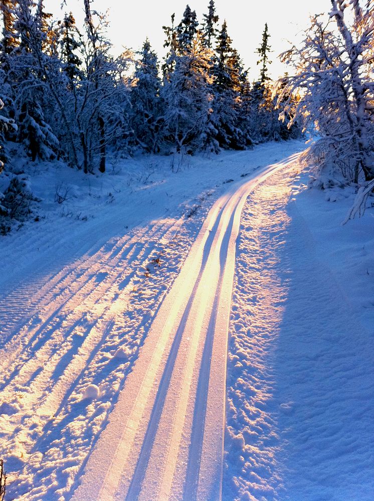 Längdspår Storhogna