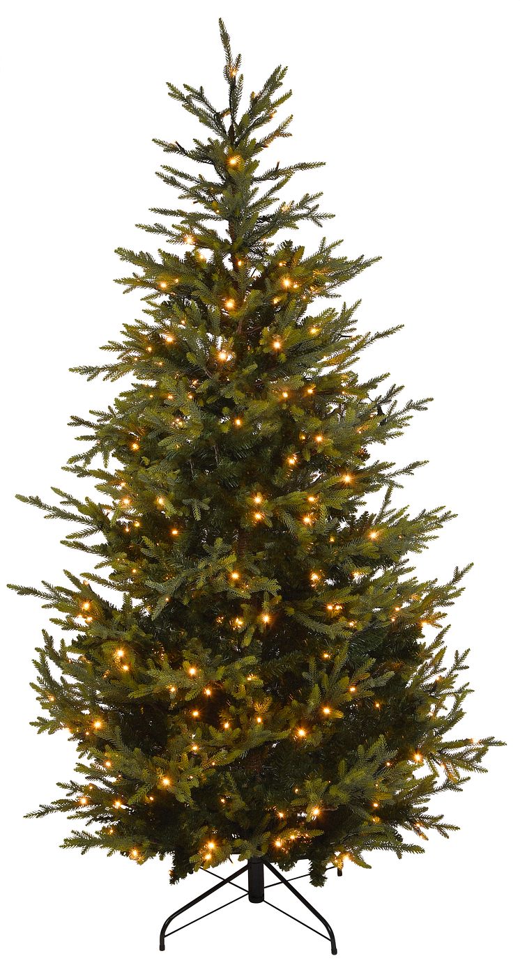 ÖoB_jul2021_Skandinavisk rödgran produktbild_2.jpg