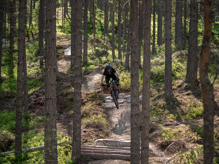 En av de mest avanserte stiene