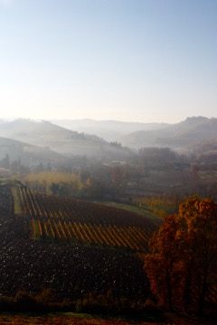 Höst i Barbaresco