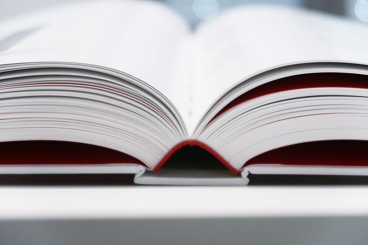 Red Dot_Jahrbuch.jpg