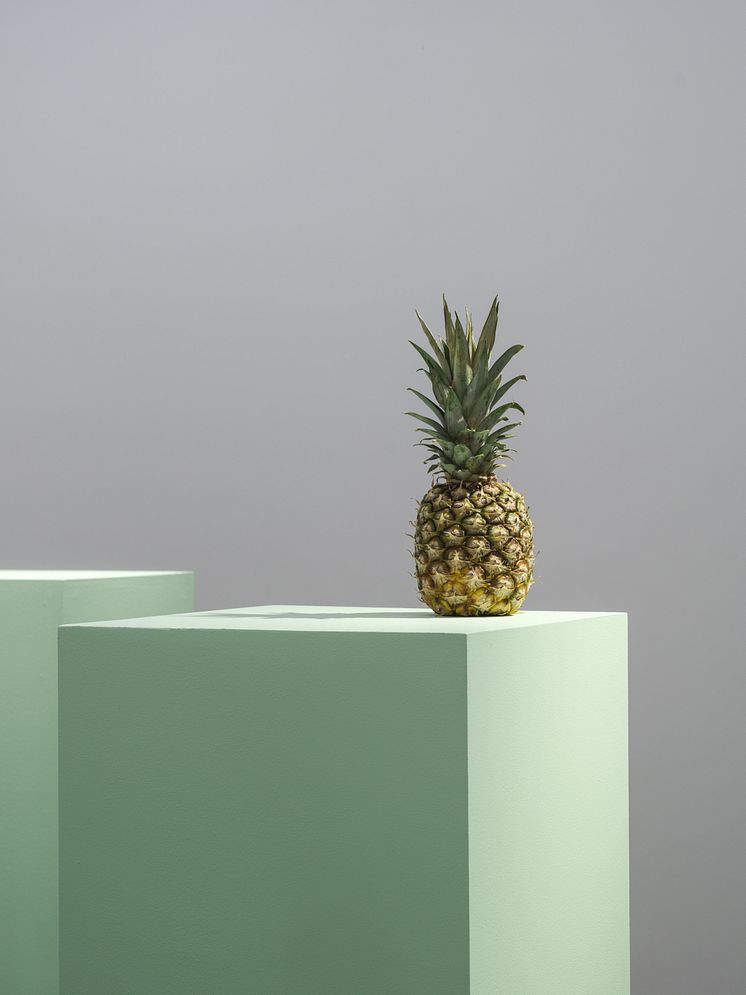 Erik Thörnqvist, Other Dead Giveaways, 2024