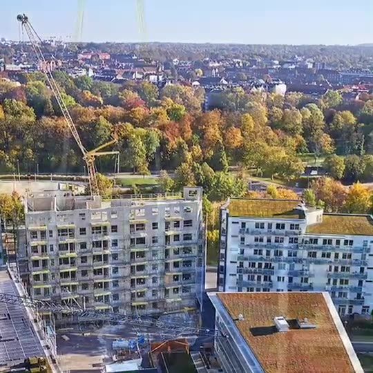 Montering av sedumtak i Lund