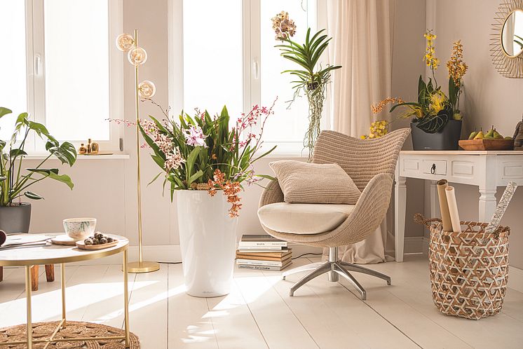 Ein Wohnraum ist mit bunt blühenden Orchideen in verschiedenen Gefäßen von LECHUZA dekoriert.