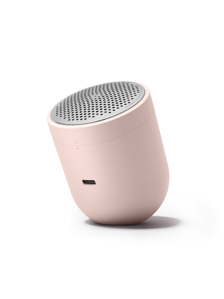 Pilo2_Rose on white_stand_small hole.jpg