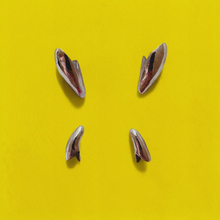 ARTWORK.jpg