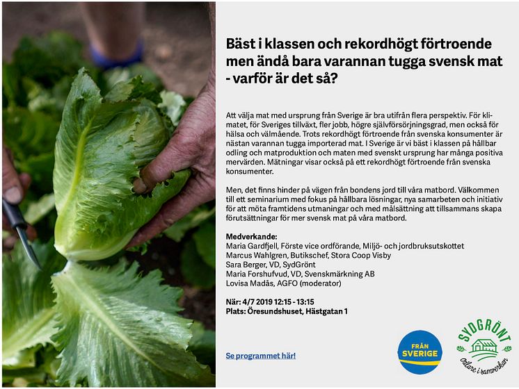 seminarium_almedalen