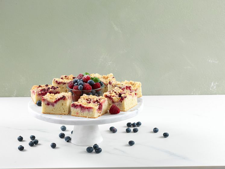 5017041 Bærkake