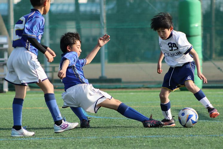 Canon RF 75-300mm F4-5.6_Sample_CINC_IMG_7920.JPG