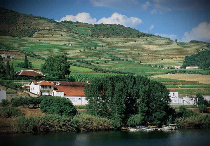 Douro-dalen.