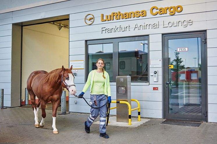 Lufthansa Cargo AG Mynewsdesk