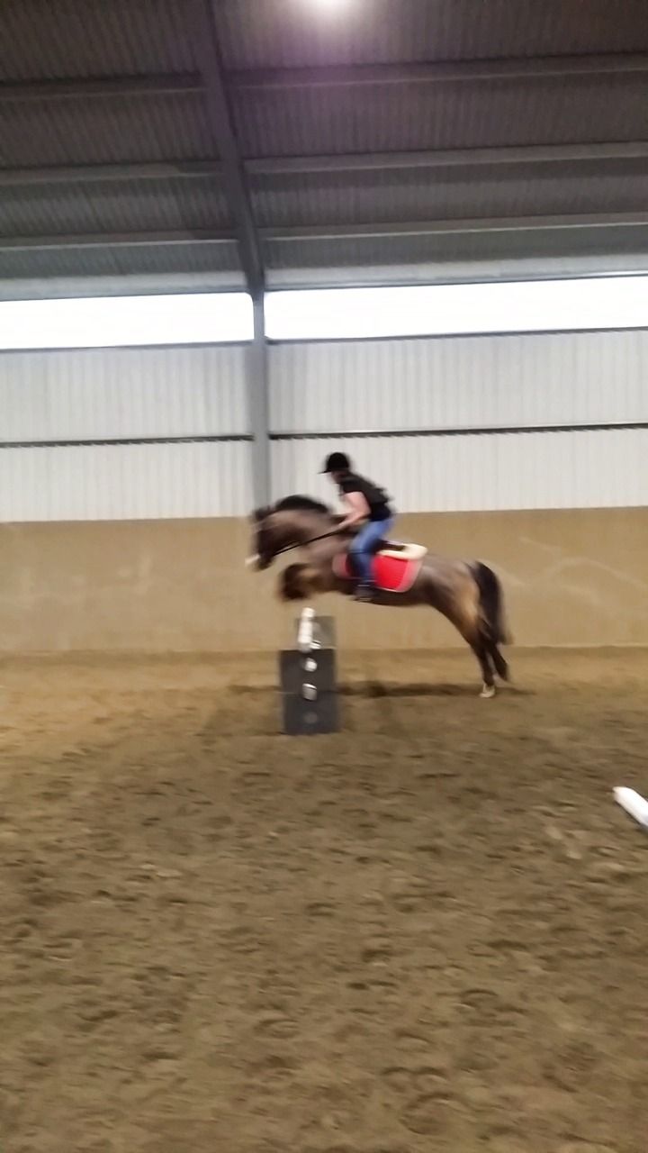 Hoppning med Vera Udd