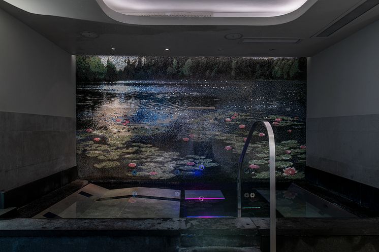 Spa jacuzzi