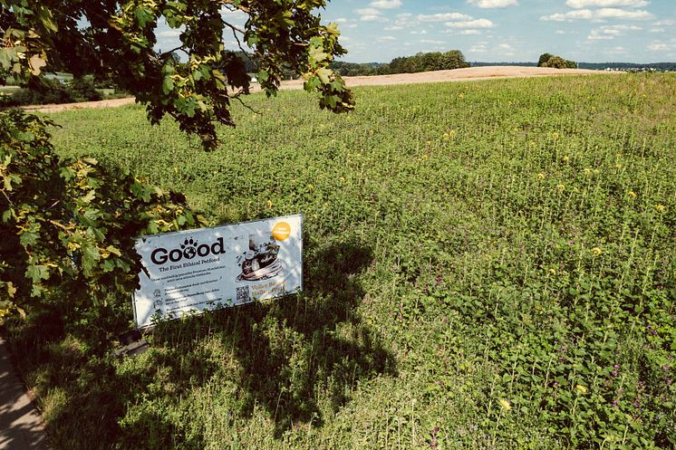 #DoGoood Regionale Biodiversitäts-Initiative