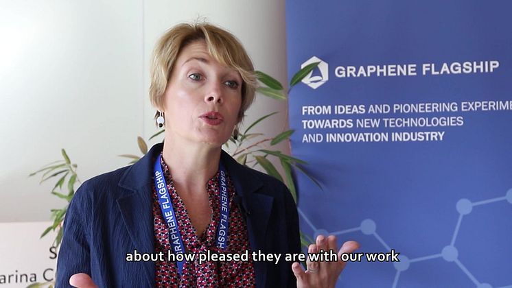 The Graphene Flagship Validation Service