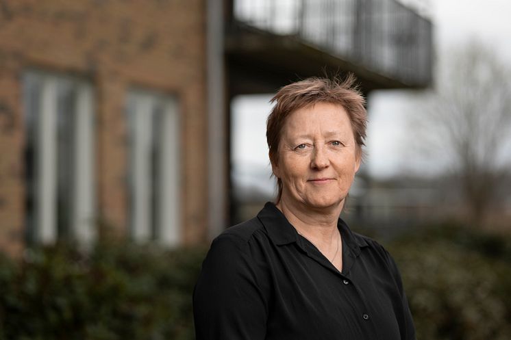 Ann-Christin Andersson Leeman, Medicinskt ansvarig sjuksköterska (MAS)