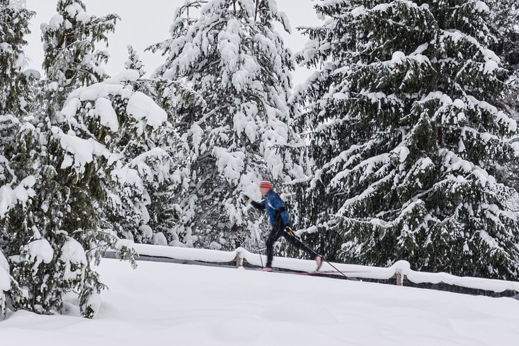 Pressbild Högbo Brukshotell & Spa_Högbo Ski Arena.jpg