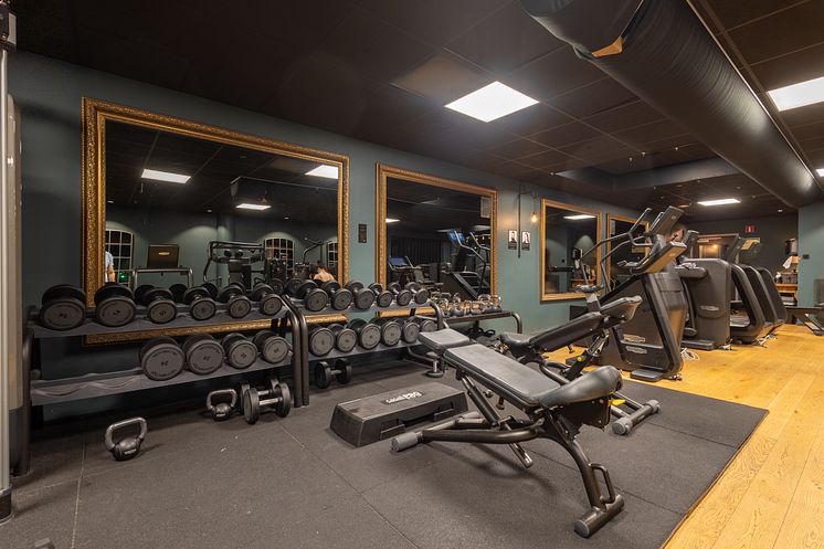 DT Gym