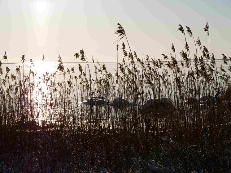 genre-natur-vatten