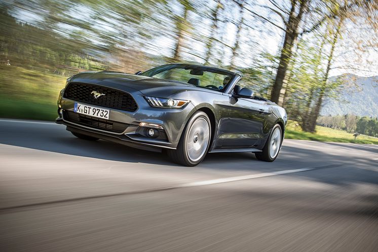 Mustang