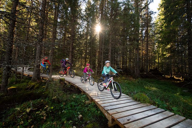 Norges nye sommerfavoritt - stisykling i Trysil