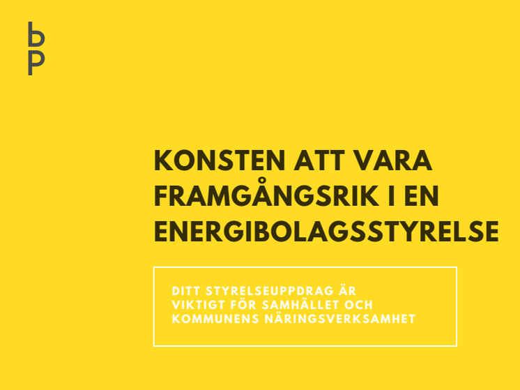 ​Om konsten att vara framgångsrik i en kommunal energibolagsstyrelse