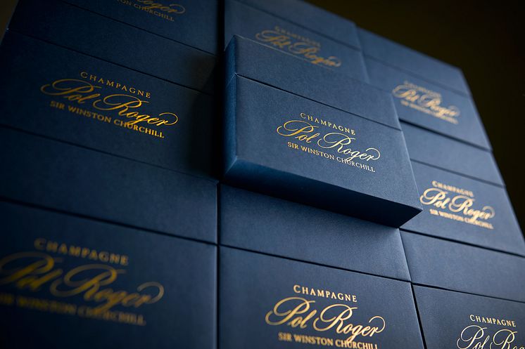 Winston Churchill 2012 case