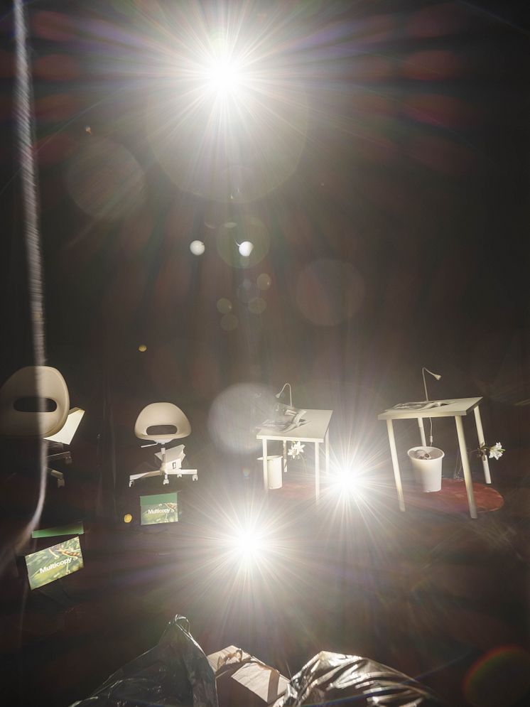 Peter Geschwind, After Image, 2023