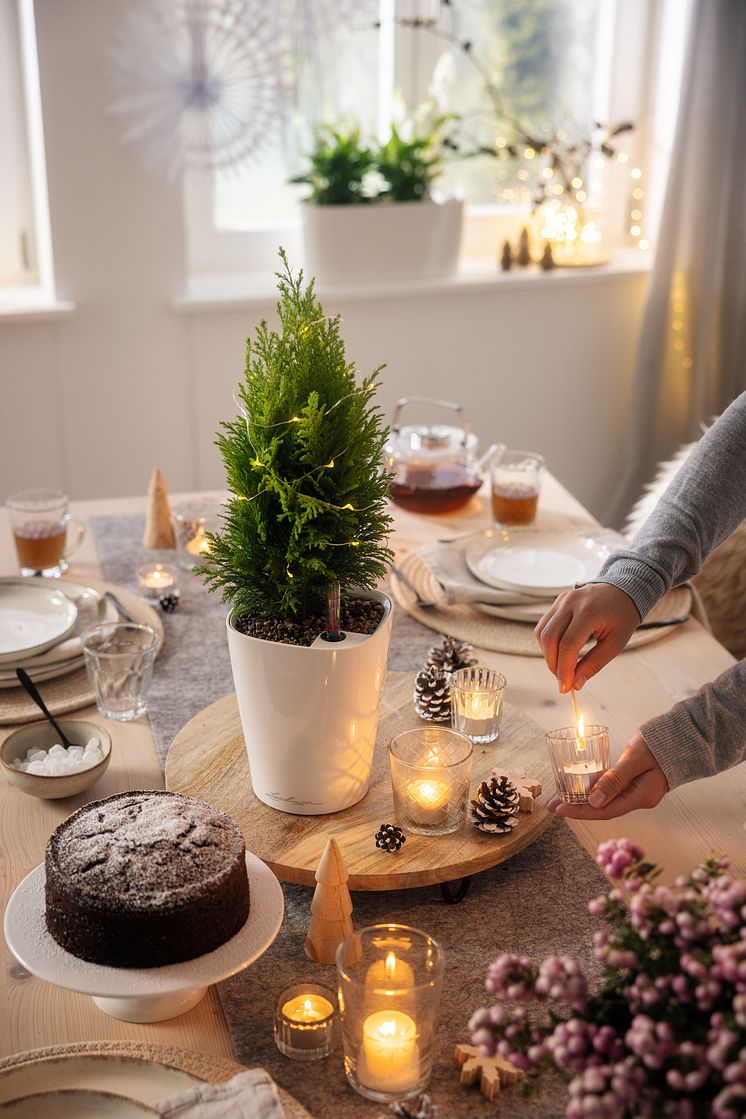LECHUZA_Weihnachten_2024_6785.jpg