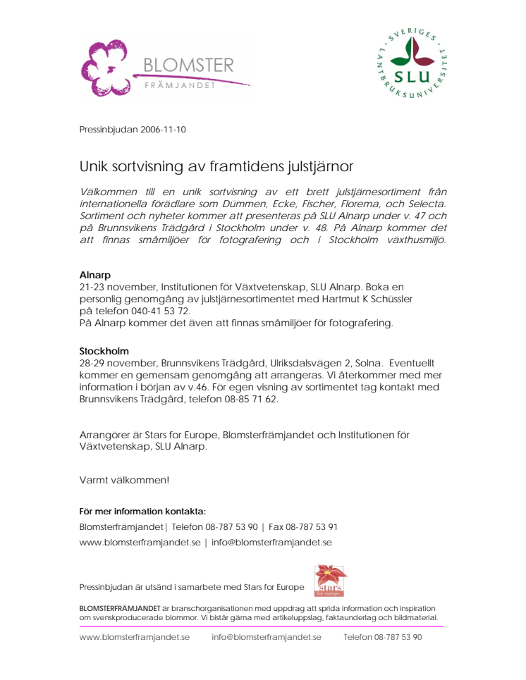 Unik sortvisning av framtidens julstjärnor