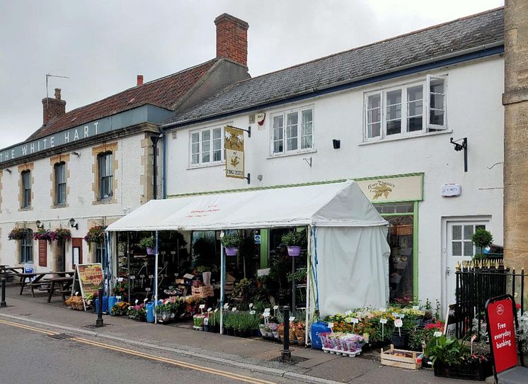 Castle Cary2.jpg