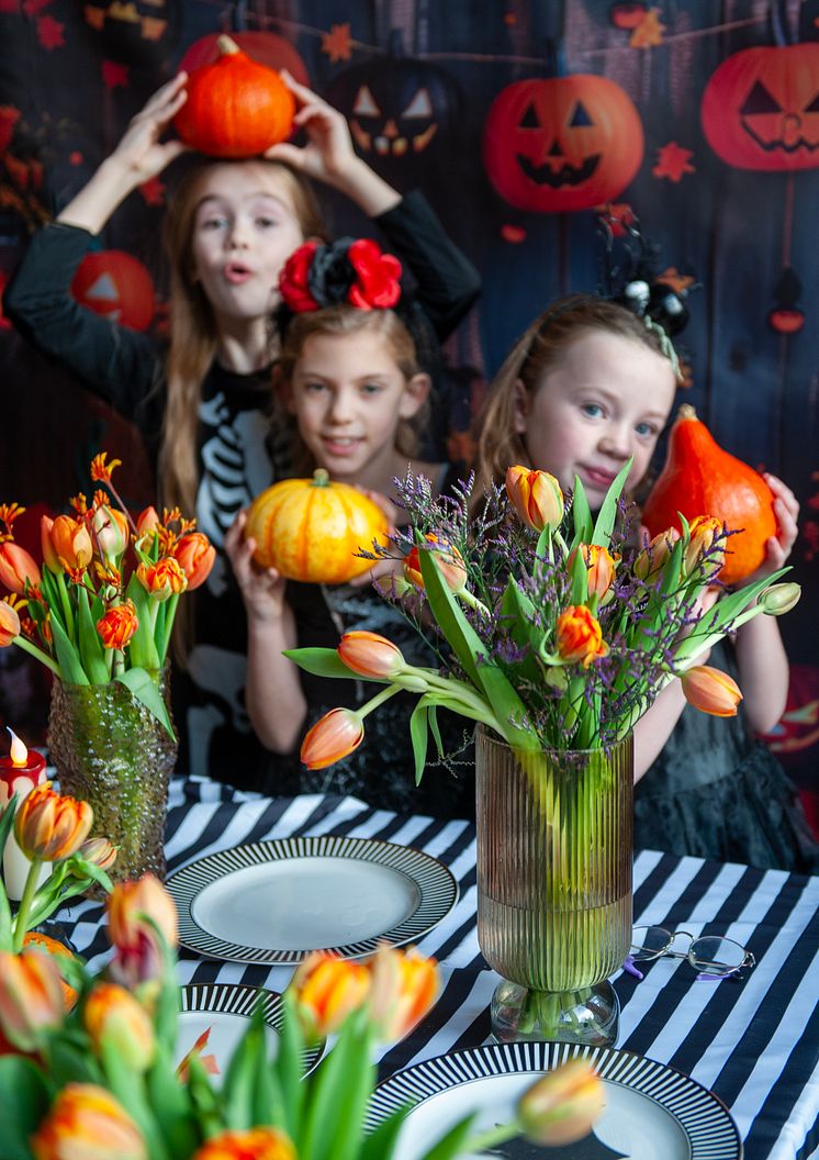 Halloweenfest med tulpaner och pumpor i dukning