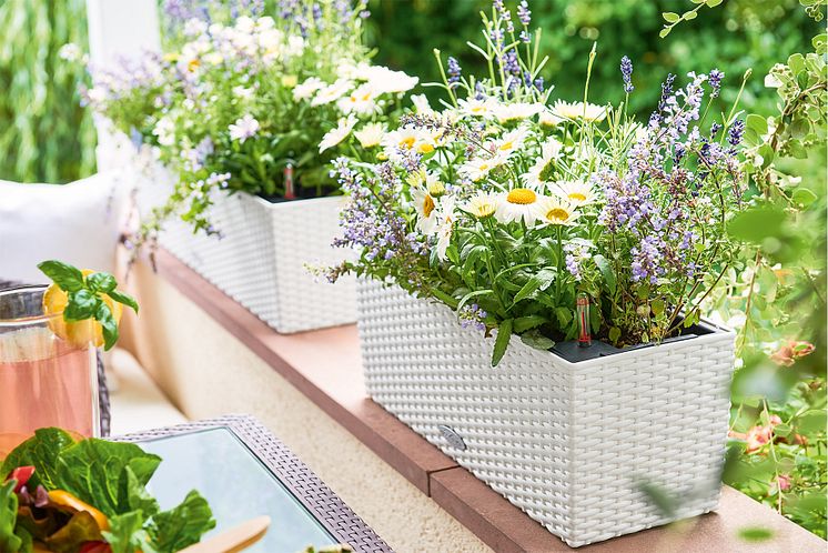 LECHUZA BALCONERA Cottage eignet sich perfekt für ein kleines Blütenmeer