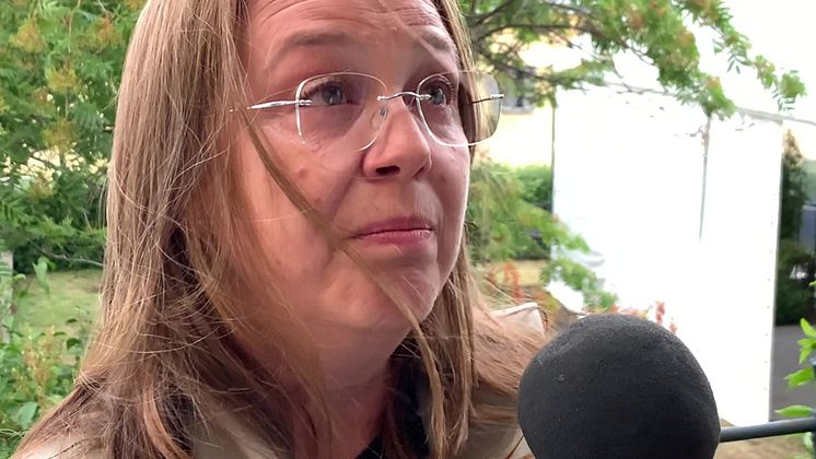 Antuanela Cimpea på Språkprojektets årliga seminarium i Almedalen 2019