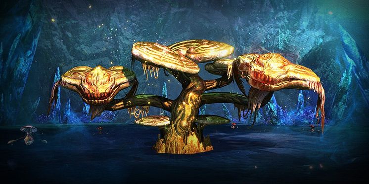 B&S Mushroom Event