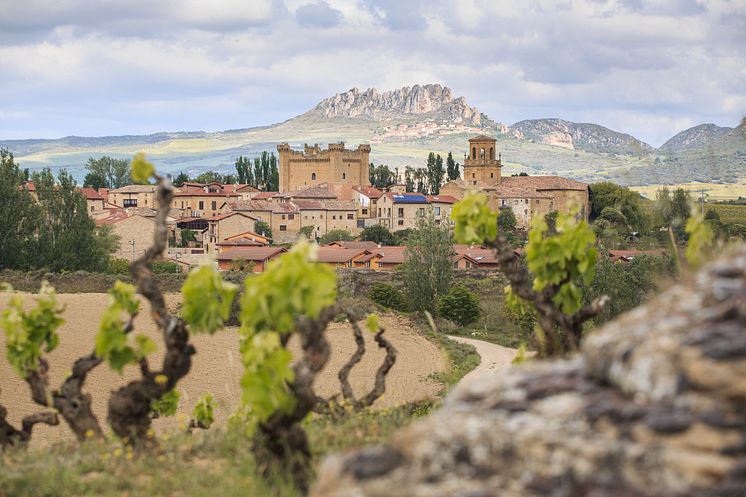 2023_Bodega_AlegreValgañon002