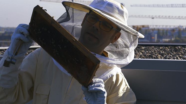 Aroundtown commits to biodiversity - "Aroundtown Hums” bee project 