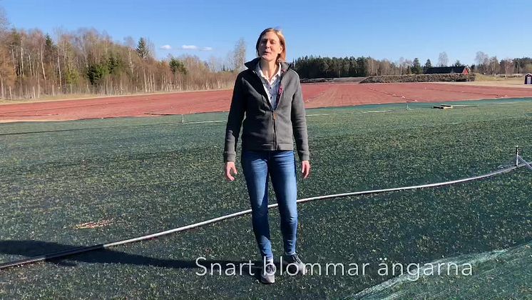 Lina hälsar välkommen till den 4 juni.