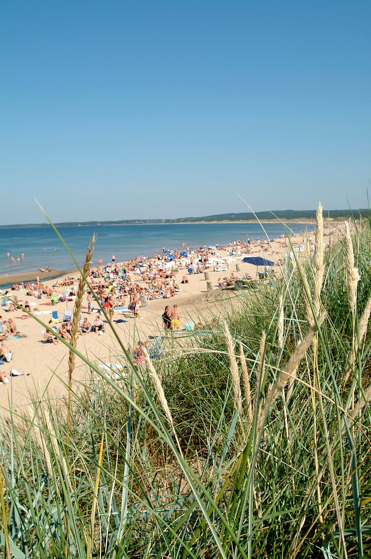 Halland - Tylösands strand