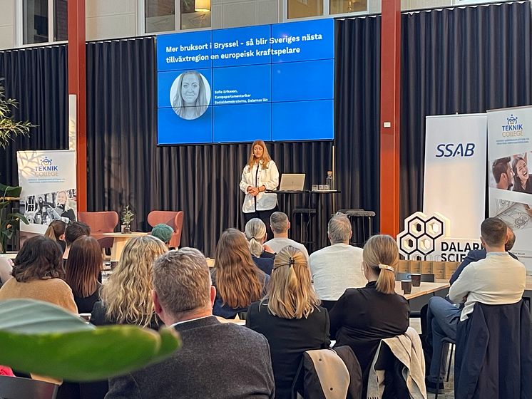 Sofie Eriksson, Europaparlamentariker (S)