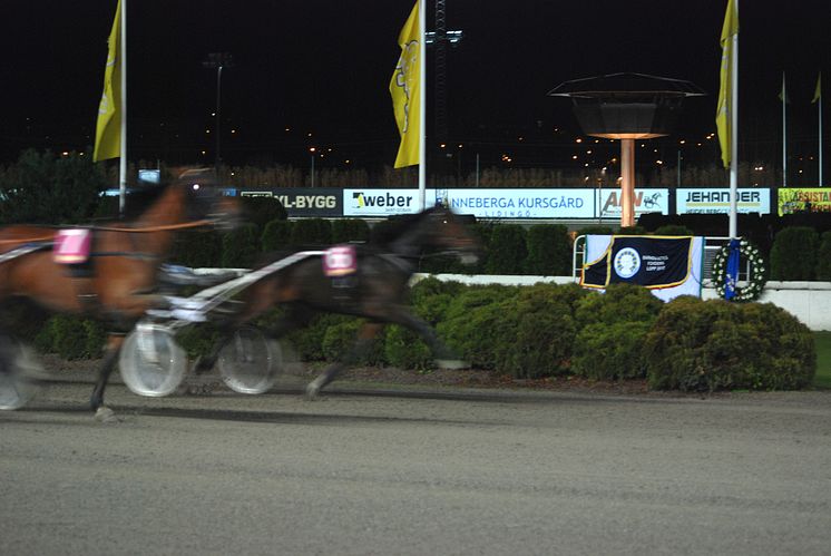 Barndiabetesfondens lopp på Solvalla 31 oktober