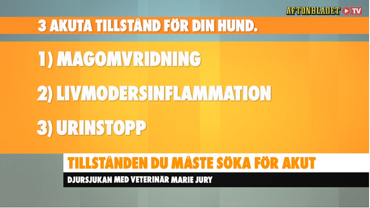 magomvridning pyo urinstopp bild