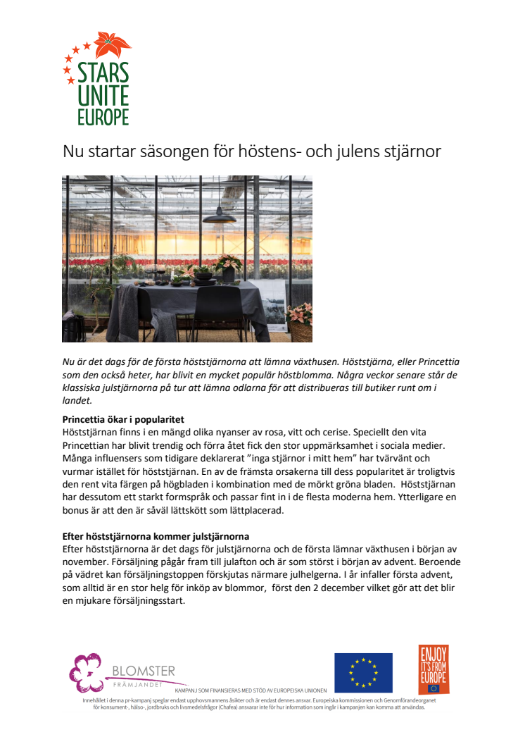 ​Nu startar säsongen för höstens- och julens stjärnor